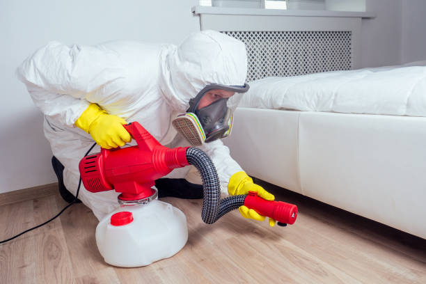 Best Wasp Removal Services  in Gwinn, MI