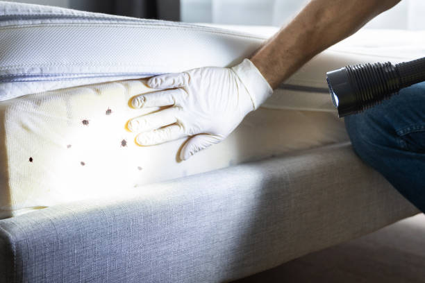 Pest Prevention Services in Gwinn, MI