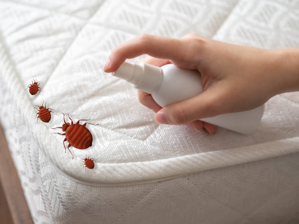 Professional Pest Control in Gwinn, MI